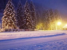 Chalet in Annaberg-lungotz With Shared Sauna