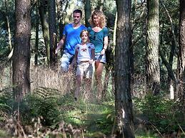 Luxurious Detached Villa With Washer, in De Maasduinen Area