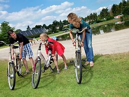 Luxurious Detached Villa With Washer, in De Maasduinen Area