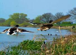 Villa at Klein Vink With Thermal Baths Access
