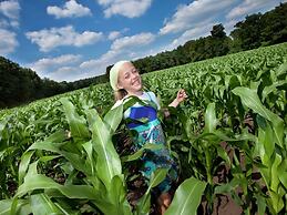 Luxurious Detached Villa With Washer, in De Maasduinen Area