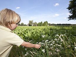 Modern Chalet With Dishwasher, Near the Hunebedcentrum