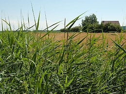 Restyled Country House With Dishwasher, on Texel Near the Sea