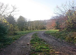 Feriendorf Reinskopf in der Eifel