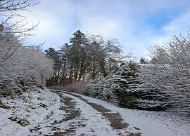 Feriendorf Reinskopf in der Eifel