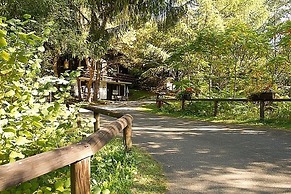 Tidy Chalet With Fireplace, Located in Wooded Area