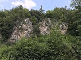 Holiday Home in Hinterhausen With Garden