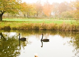 Bad Bentheim Family Retreat