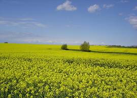 Smart Apartment in Wendelstorf near Sea Beach