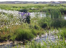 Modern Lodge With two Bathrooms, Near the Beach