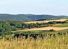 Bungalow in Eifel Near Mountain Trails