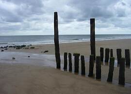 Zoutelande Beach Luxury Apartment