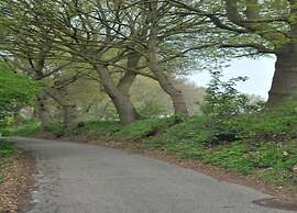 Villa Oesterdam Sleeps 10 Persons