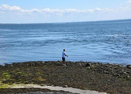 Villa Oesterdam Sleeps 10 Persons