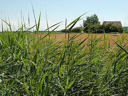 Restyled Chalet With Dishwasher, Near the Sea, on Texel