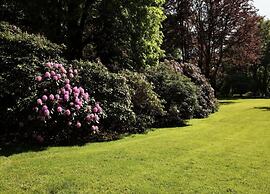 Sunlit Chalet by the Pond
