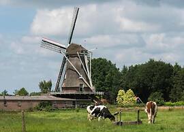 Sunlit Chalet by the Pond