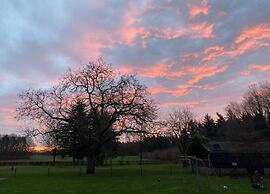 Sunlit Chalet by the Pond