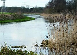 Sunlit Chalet by the Pond