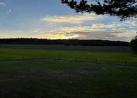 Sunlit Chalet by the Pond