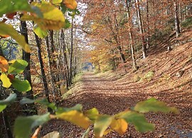 Holiday Home in Waldbrunn Near Town Centre