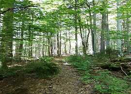 Holiday Home in Waldbrunn Near Town Centre