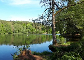 Holiday Home in Waldbrunn Near Town Centre
