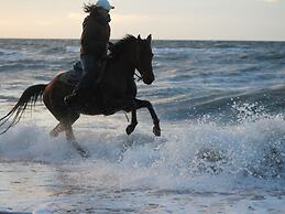 Gemuetliches Appartement in Brusow mit Garten