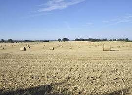 Gemuetliches Appartement in Brusow mit Garten