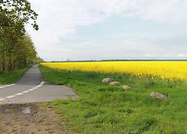 Gemuetliches Appartement in Brusow mit Garten