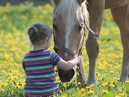 Gemuetliches Appartement in Brusow mit Garten