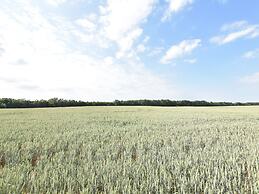 Gemuetliches Appartement in Brusow mit Garten
