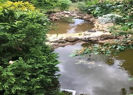 Holiday Home in Hasselfelde With Private Terrace