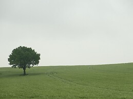 Gartenwohnung in Hasselfelde