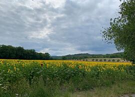 Holiday Home in Hasselfelde With Private Terrace