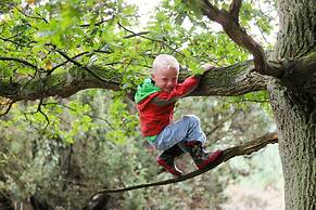 Stylish Woodland Chalet