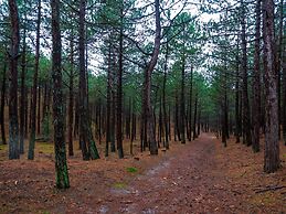 Nice Holiday Home With Dishwasher, in Schoorl