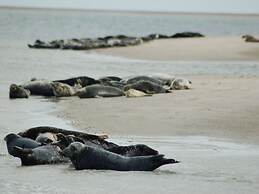 Well-kept Apartment Near the Beach