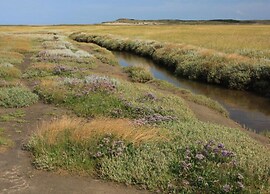 Apartment in De Koog With Free Parking