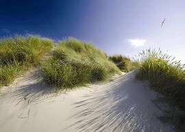 Apartment in De Koog With Free Parking