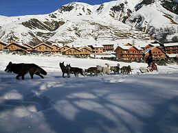 Chalet Living in the Alps