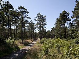 Restyled Apartment not far From the Beach and Sea, on Texel