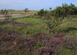 Apartment on Texel Near De Koog Beach
