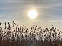 Cozy Holiday Home With Terrace