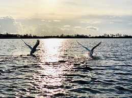 Cozy Holiday Home With Terrace