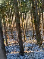 Wadano Forest Apartments