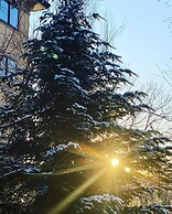 Wadano Forest Apartments