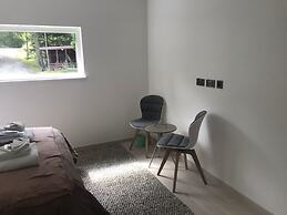 Red Stag With Stunning Loch and Waterfall View