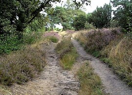 Cozy Group Stay w/ Fireplace