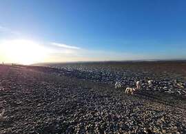 Modern Chalet Near Lake Sneek